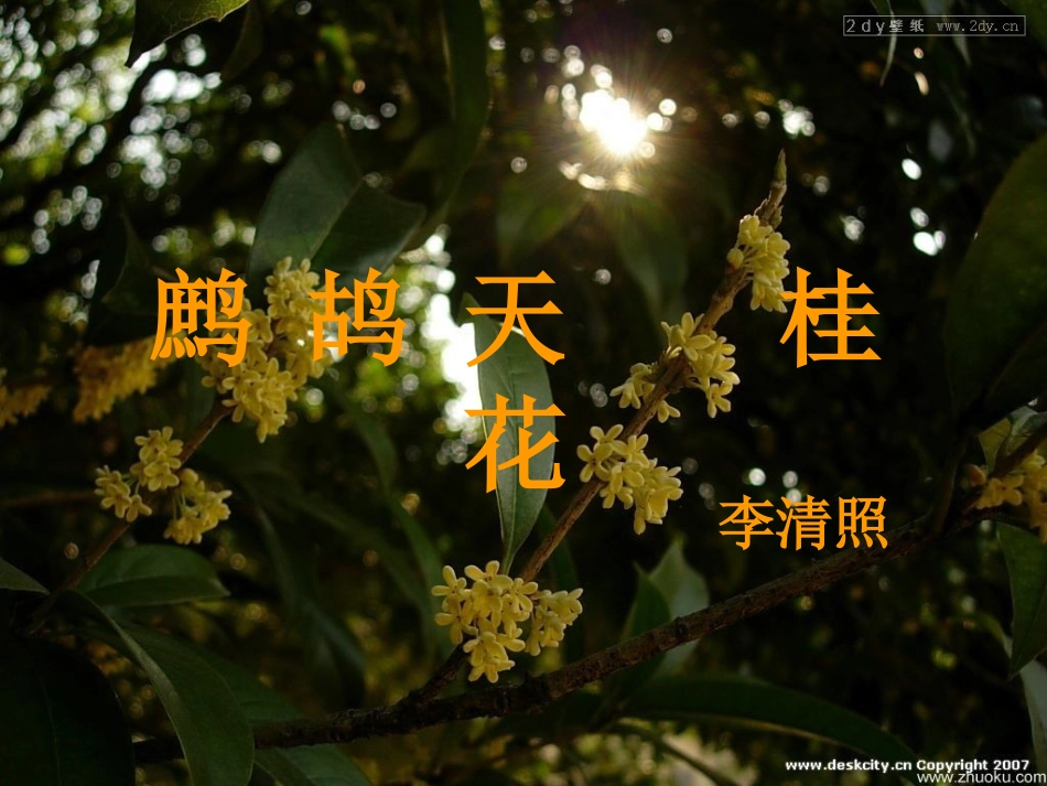 李清照《鹧鸪天·桂花》_第1页