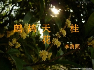 李清照《鹧鸪天·桂花》