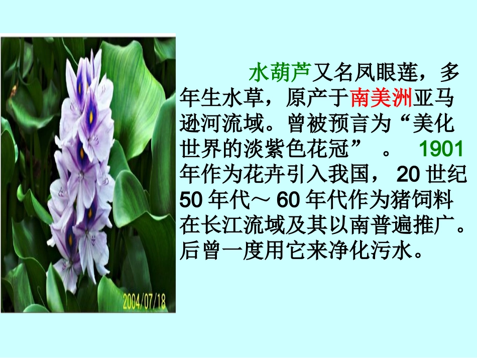 《生物入侵者》---教学课件_第2页