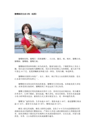 翘嘴鲌的生活习性