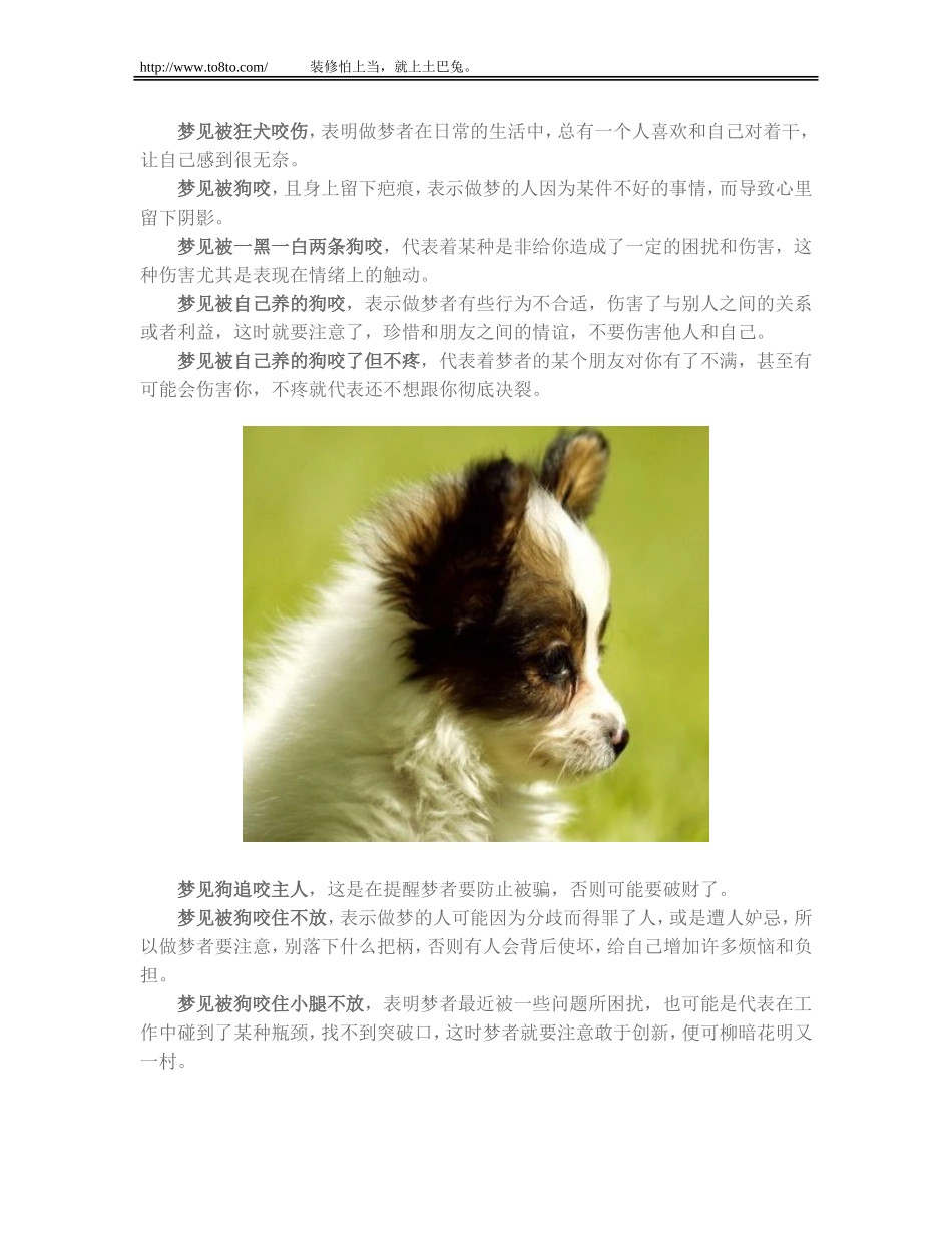 梦见被狗咬 象征什么及怎么应对(全解)_第2页