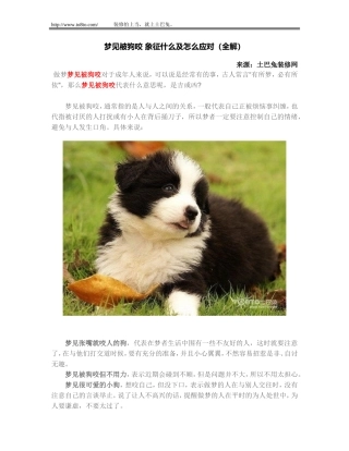 梦见被狗咬 象征什么及怎么应对(全解)