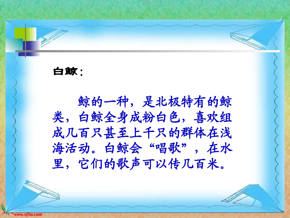 喜爱音乐的白鲸_第3页