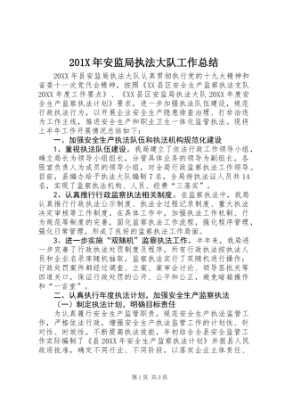 201X年安监局执法大队工作总结