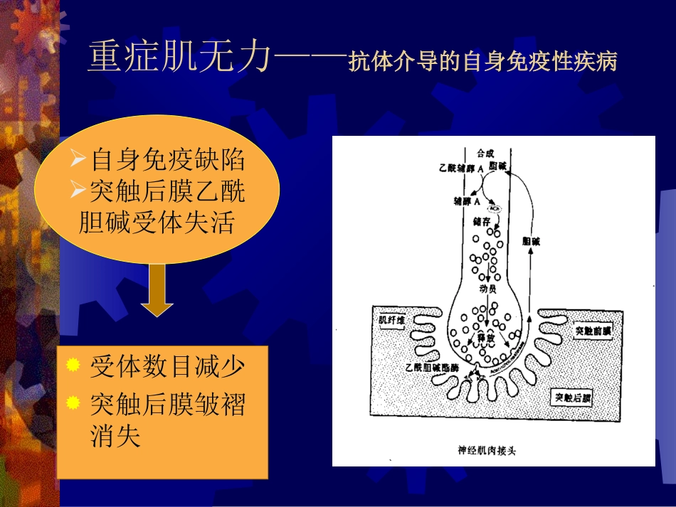 神经肌肉疾病患者的麻醉、讲课ppt_第2页