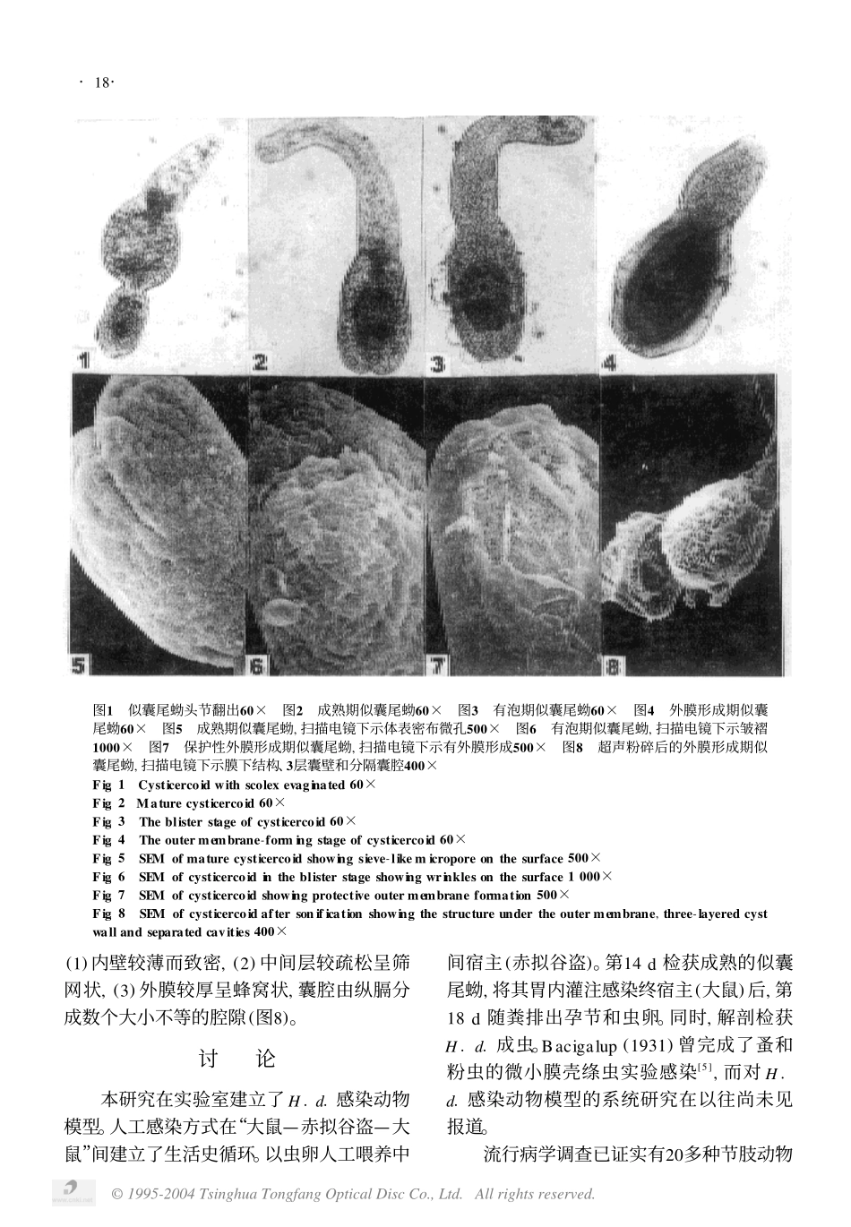 缩小膜壳绦虫动物模型的建立及其似囊尾蚴的形态_第3页