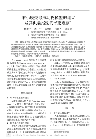 缩小膜壳绦虫动物模型的建立及其似囊尾蚴的形态