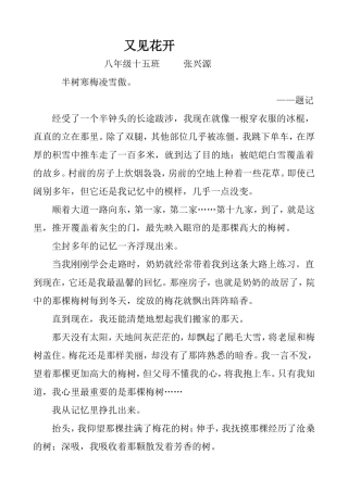 又见花开张兴源