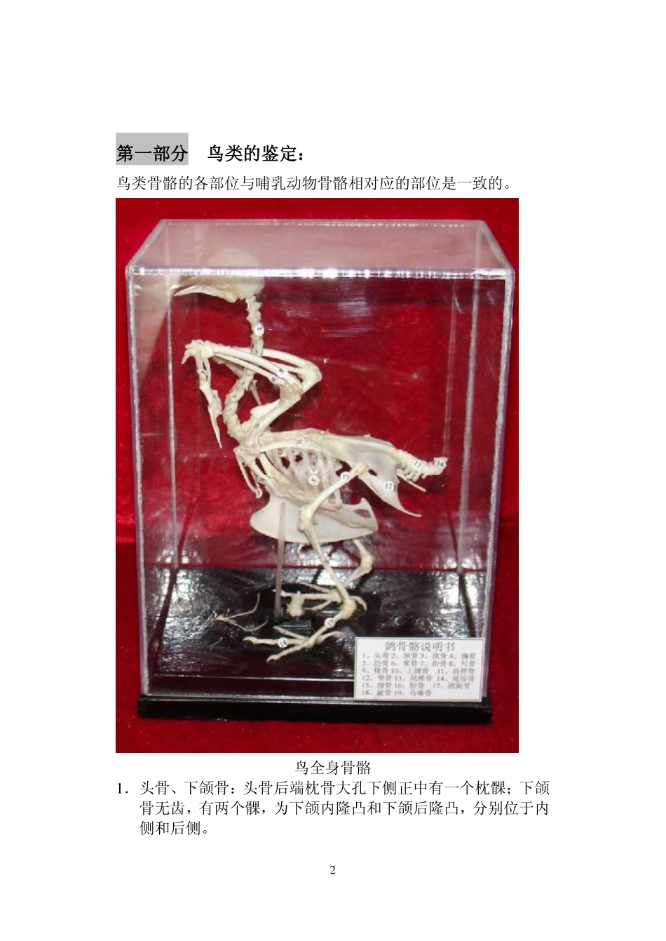鸟,鱼及爬行动物的鉴定_第3页