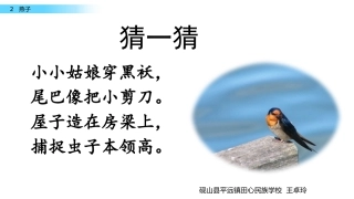 燕子第一课时 (2)