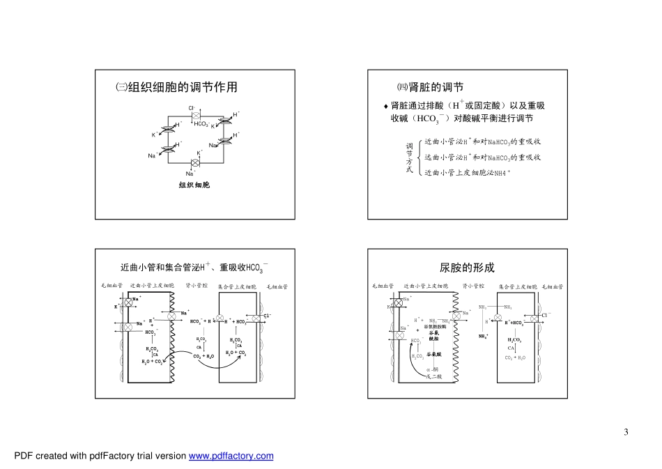 酸碱平衡紊乱课件_第3页