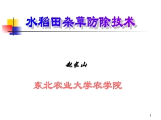 水稻田杂草防除技术