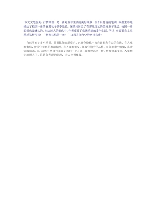 本文文笔优美