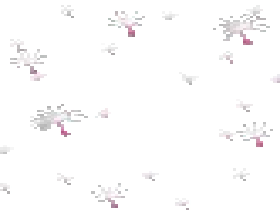 二上植物妈妈有办法_第3页