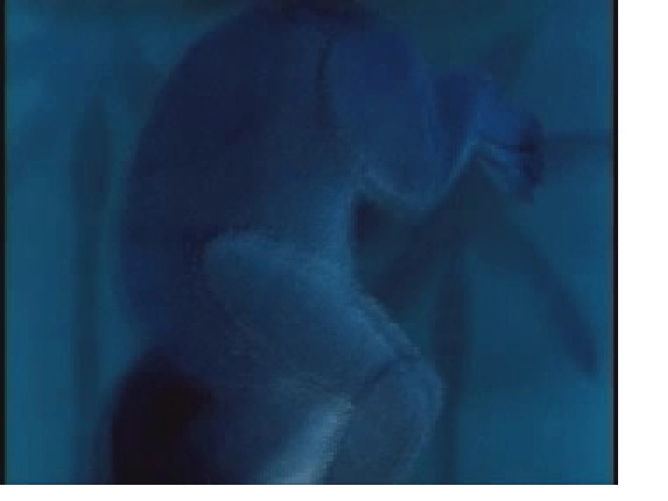 北师大版物理八年级上册第五章第三节《平面镜成像》_第3页