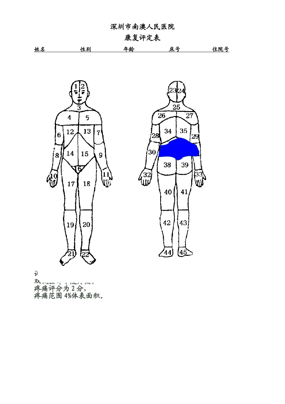 人体表面积评分法_第3页