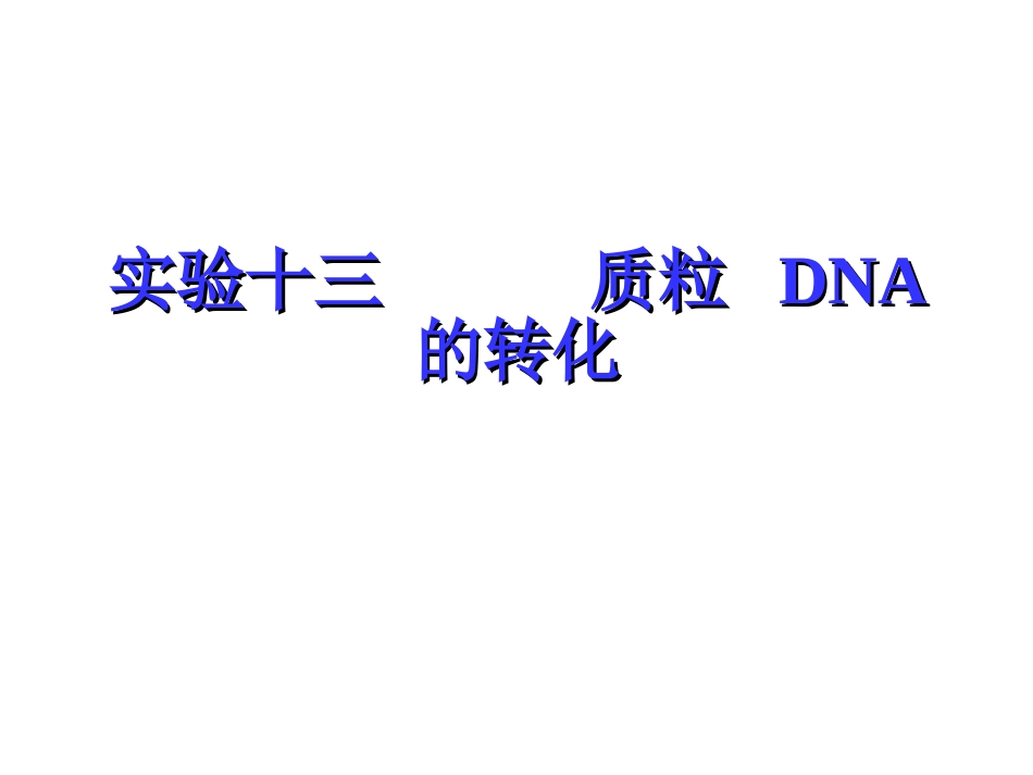 实验十三 质粒DNA的转化(2012LB)_第1页