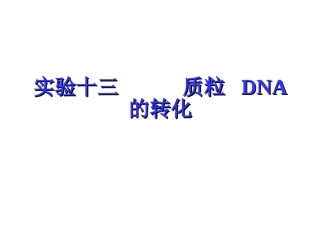 实验十三 质粒DNA的转化(2012LB)