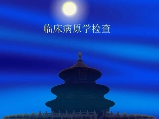 临床病原学检查