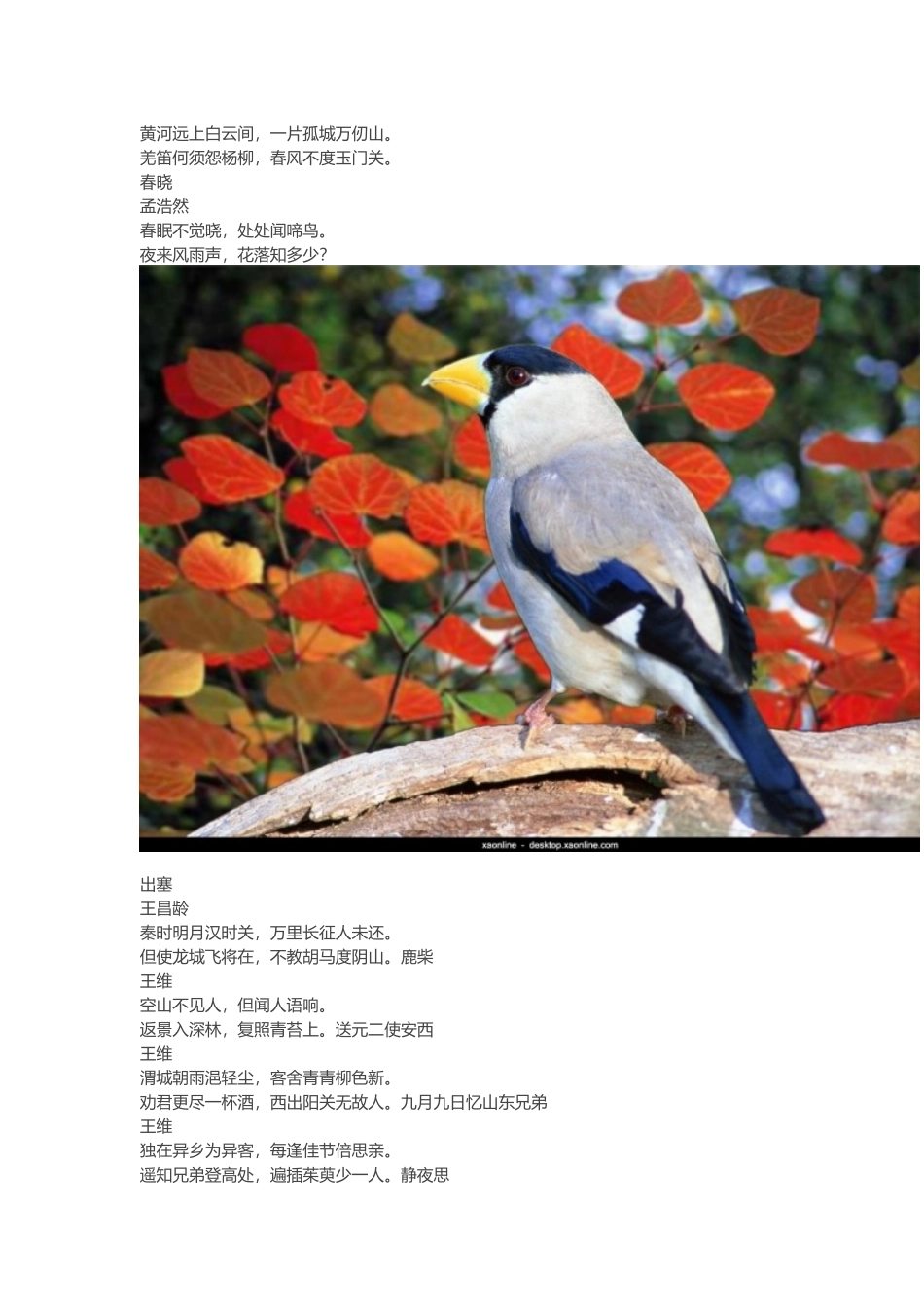 小学古诗，数学公式_第3页