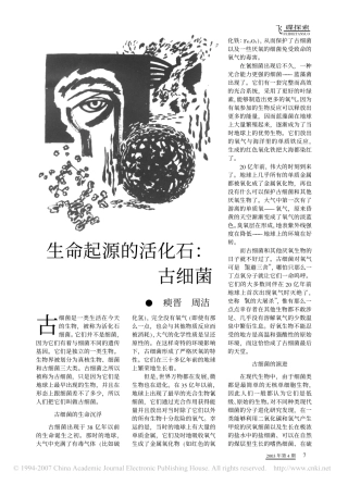生命起源的活化石_古细菌