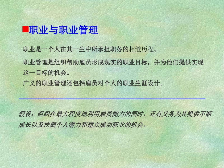 人力资源管理之雇员职业管理_第2页
