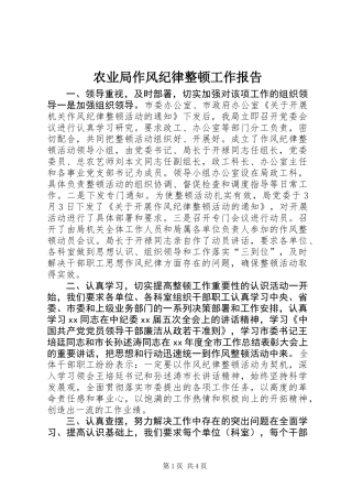 农业局作风纪律整顿工作报告