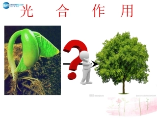 七年级生物上册361植物光合作用的发现课件（新版）苏教版
