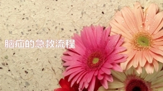 脑疝的急救流程2