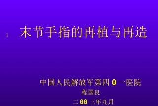 末节手指的再植与再造