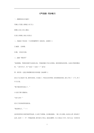 《芦花荡》同步练习6