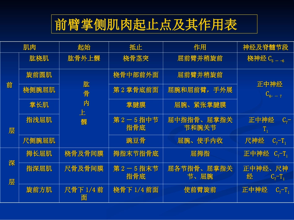全身肌肉起止表_第2页