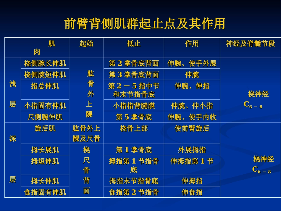 全身肌肉起止表_第3页