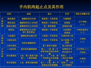 全身肌肉起止表