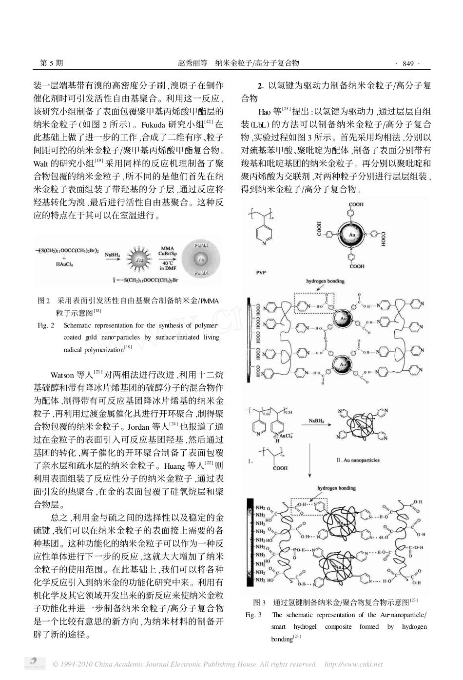 纳米金粒子_高分子复合物_第3页