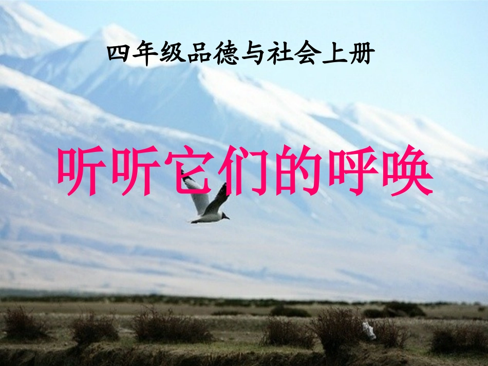 (科教版)四年级品德与社会上册课件听听它们的呼唤_第2页