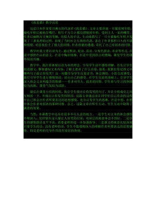 我是猫教学反思