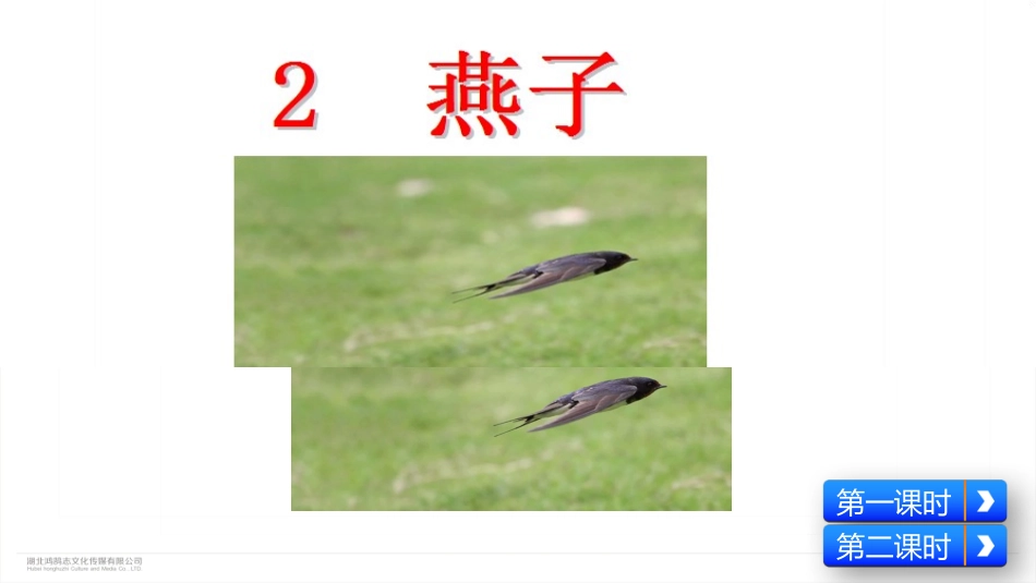 三年级下册 燕子_第2页