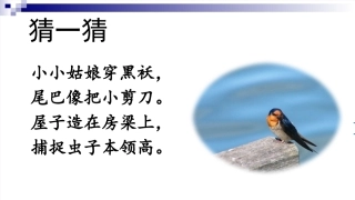 三年级下册 燕子