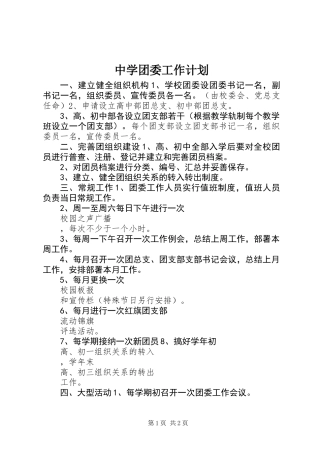 中学团委工作计划 (3)