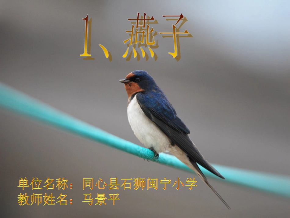 《燕子》课件 (2)_第1页