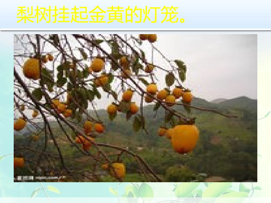秋天的图画(1)_第3页