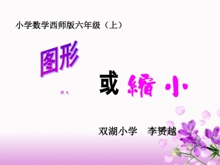 图形放大或缩小