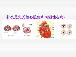 什么是先天性心脏和风湿性心脏病？【生物作业】