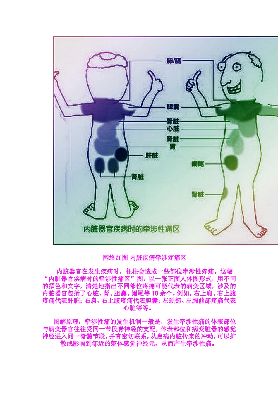 内脏器官对应疼痛图_第2页