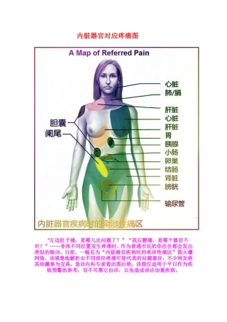 内脏器官对应疼痛图