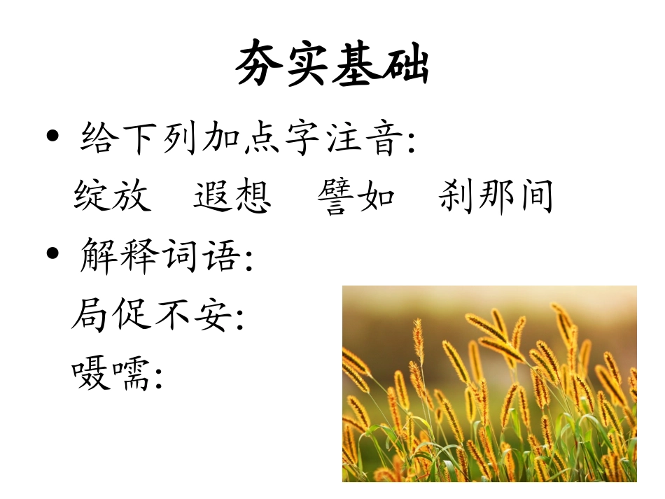 每一棵草都会开花_第3页