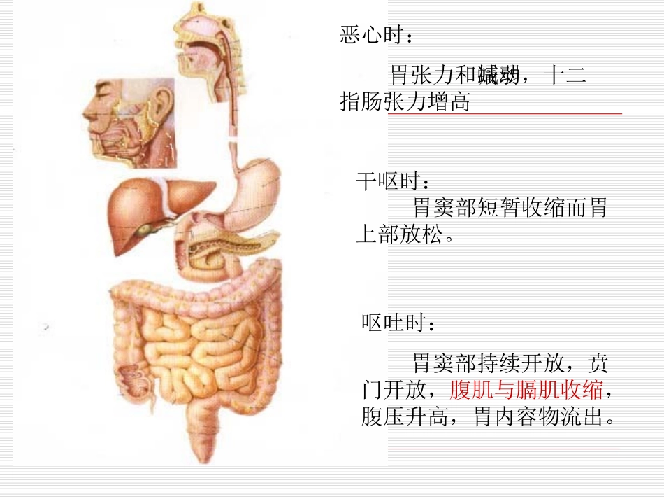 十一、恶心与呕吐_第3页