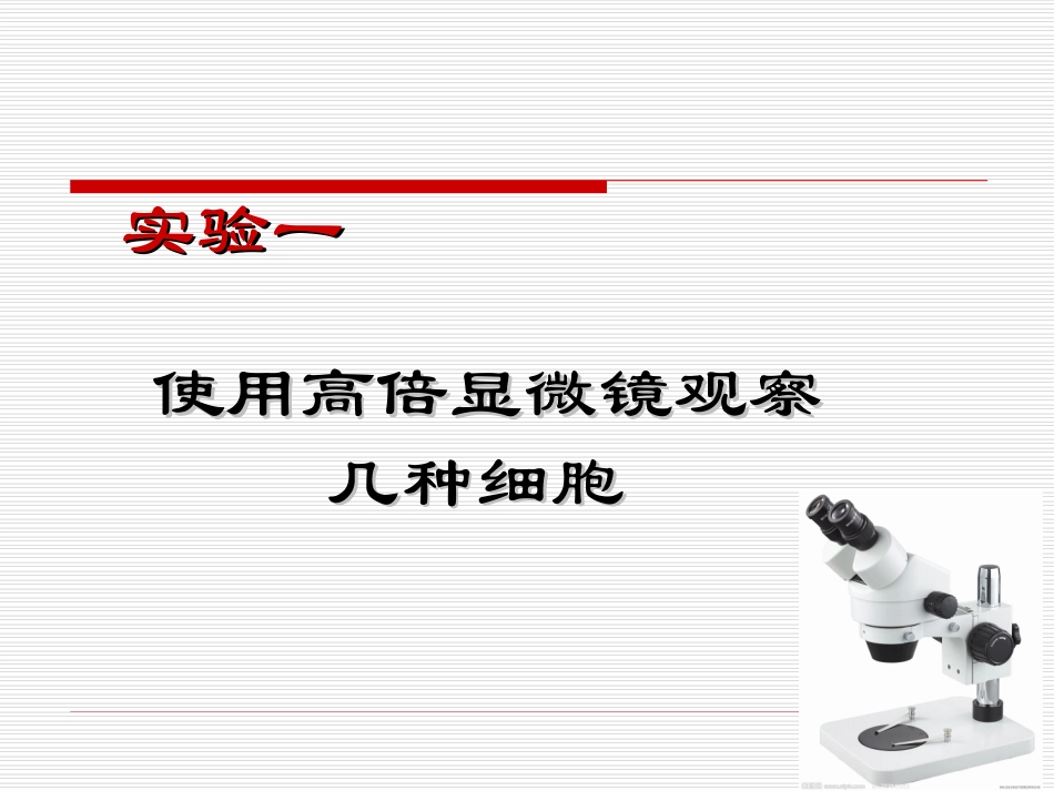 人教版教学课件实验一 高倍镜的使用讲稿_第2页