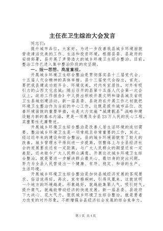 主任在卫生综治大会发言